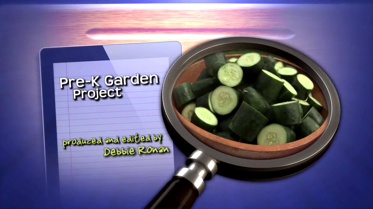 Read more about the article Pre-K Garden Project