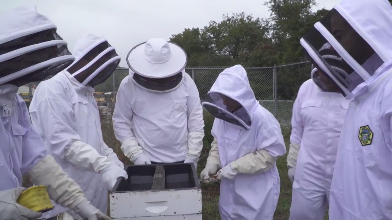 Read more about the article LCMR Beekeepers